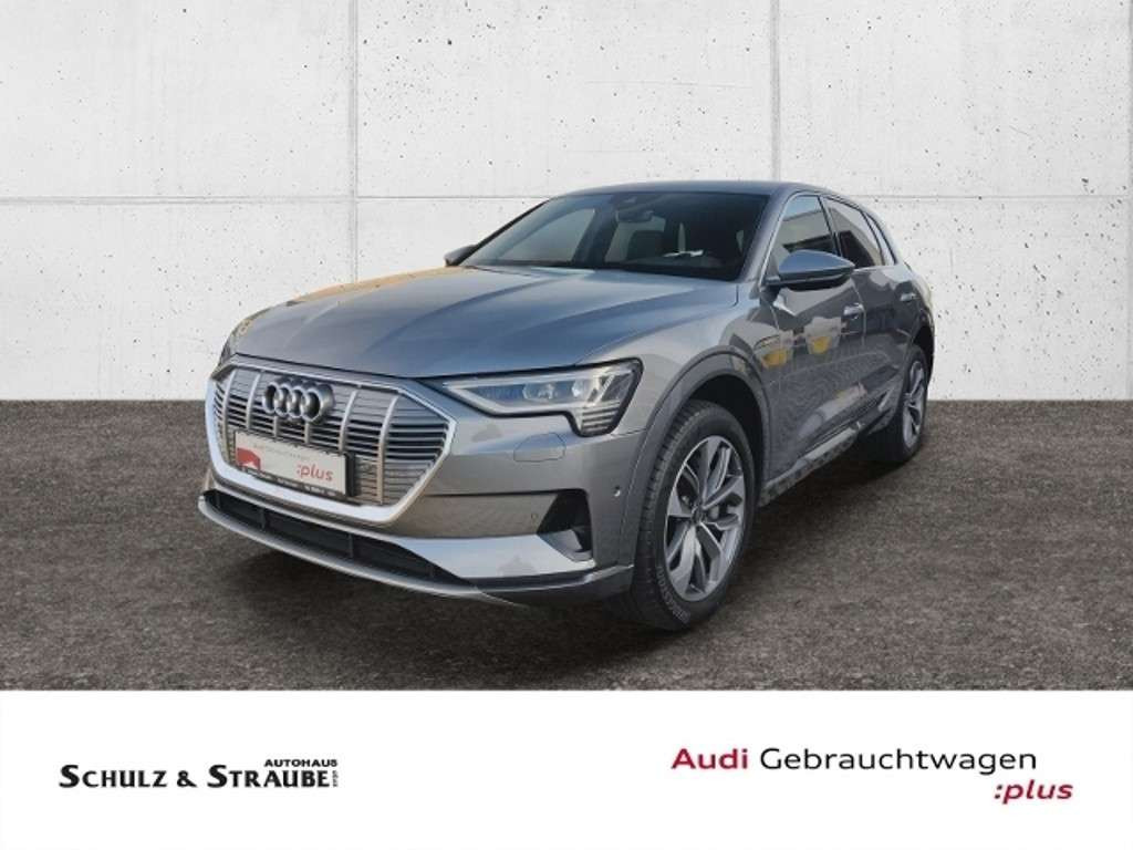 Audi e-tron 2022 Elektrisch