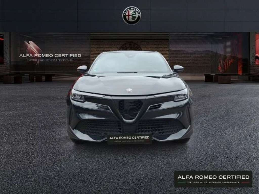 Alfa Romeo Junior