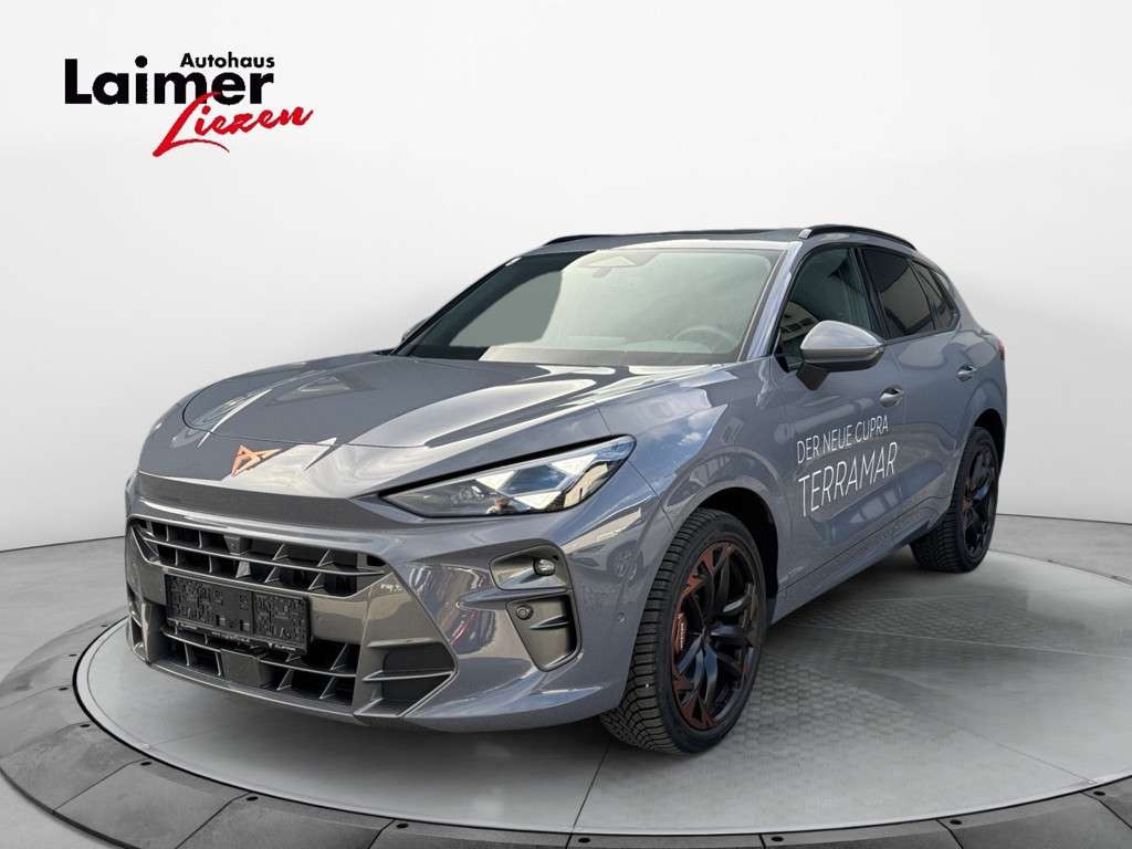 Cupra Terramar 2024 Benzine