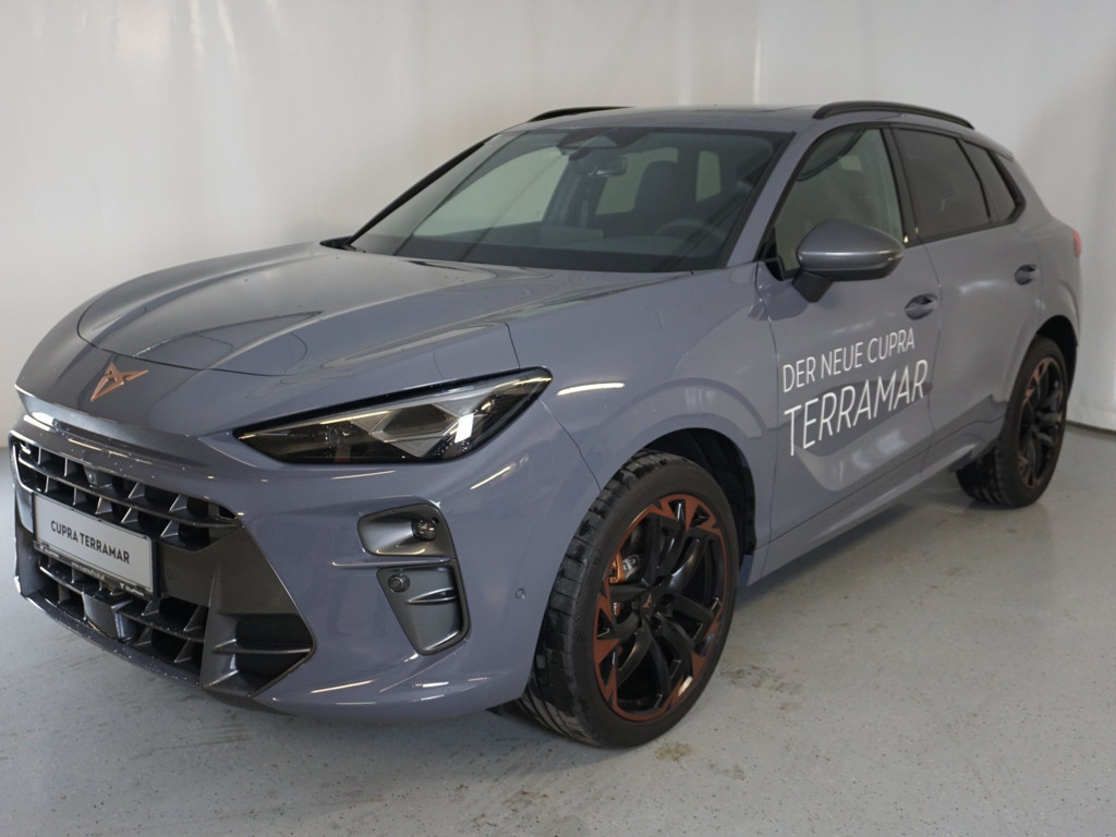 Cupra Terramar 2024 Benzine