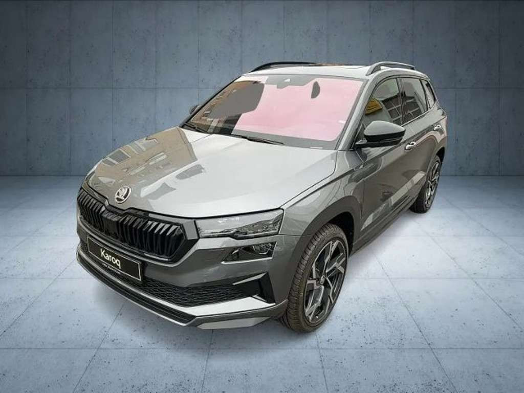Skoda Karoq 2024 Benzine