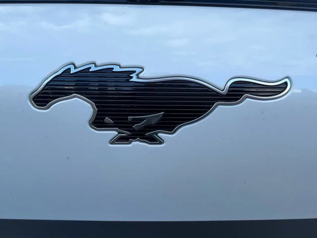 Ford Mustang Mach-E