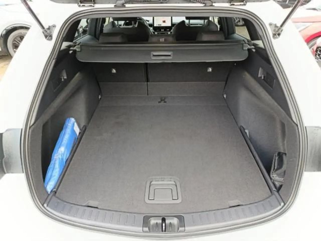 Suzuki Swace