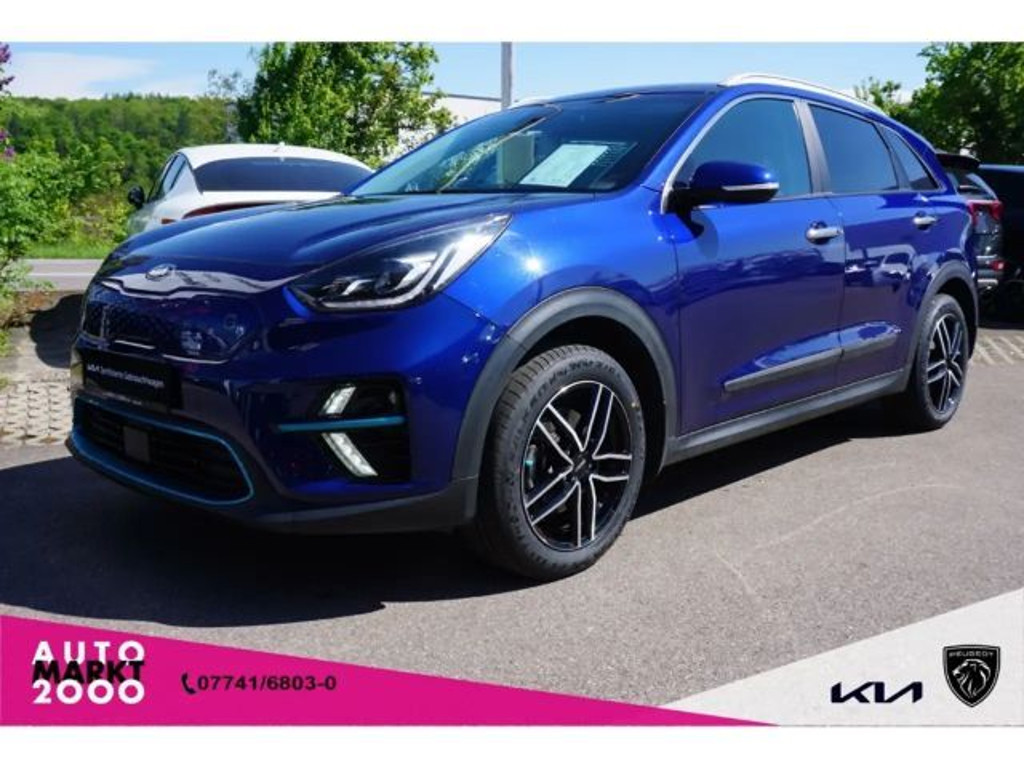 Kia Niro 2021 Elektrisch