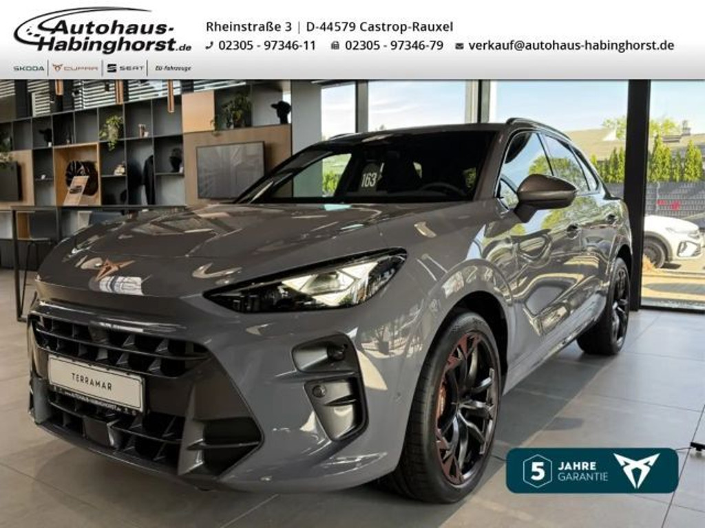 Cupra Terramar 2025 Benzine