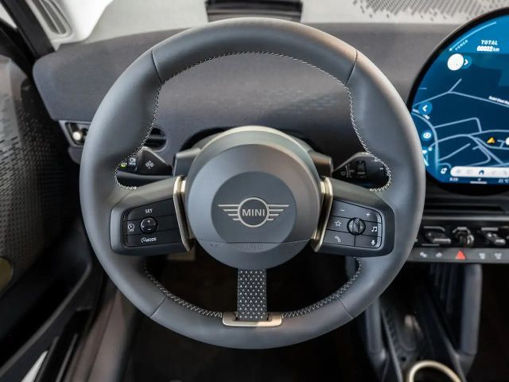 Mini Mini Electric