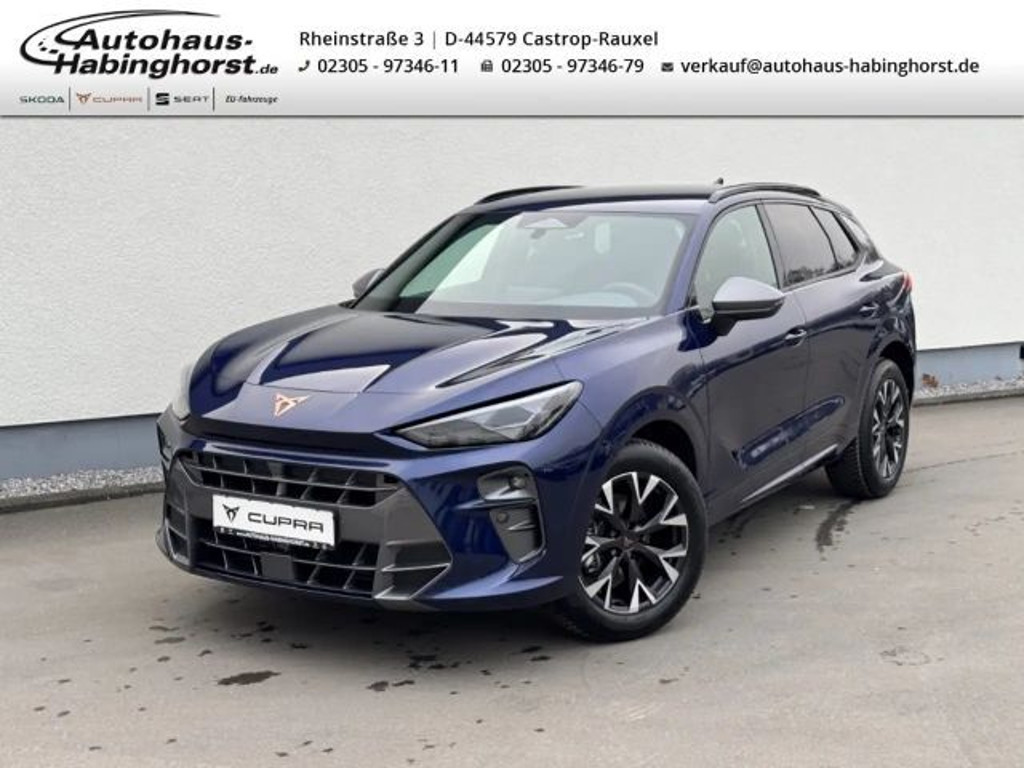 Cupra Terramar 2025 Benzine