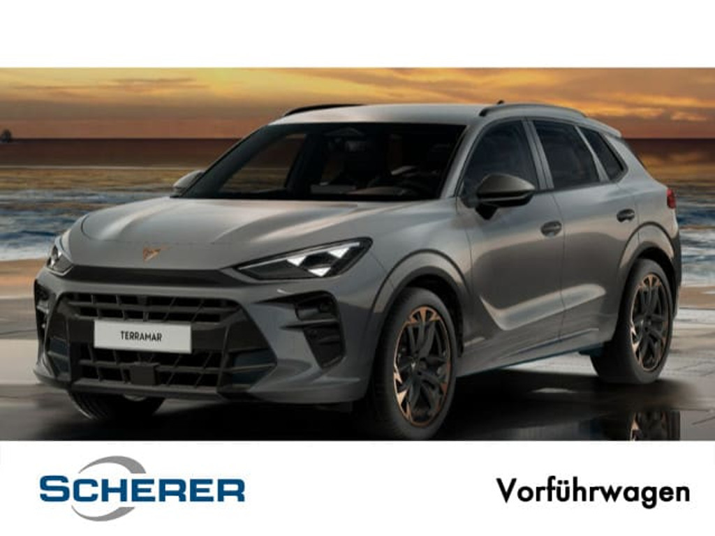 Cupra Terramar 2025 Benzine