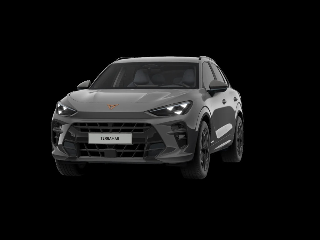 Cupra Terramar 2024 Benzine