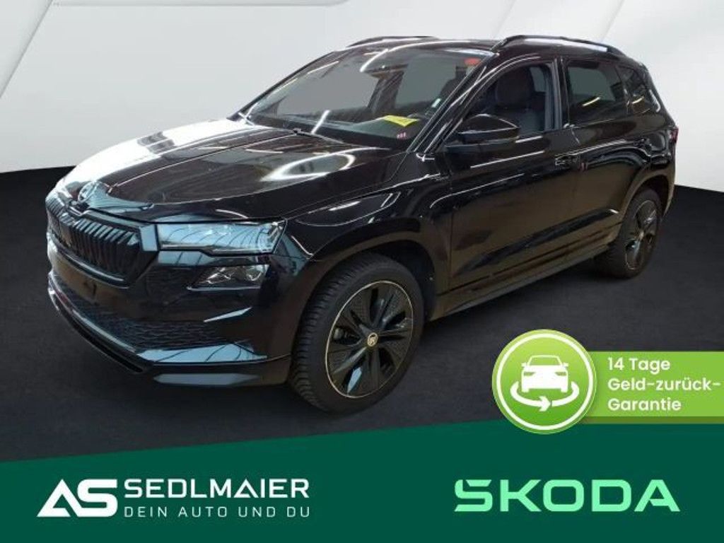 Skoda Karoq 2024 Benzine