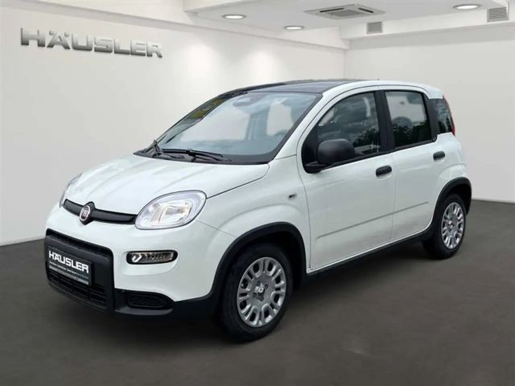 Fiat Panda 2024 Benzine