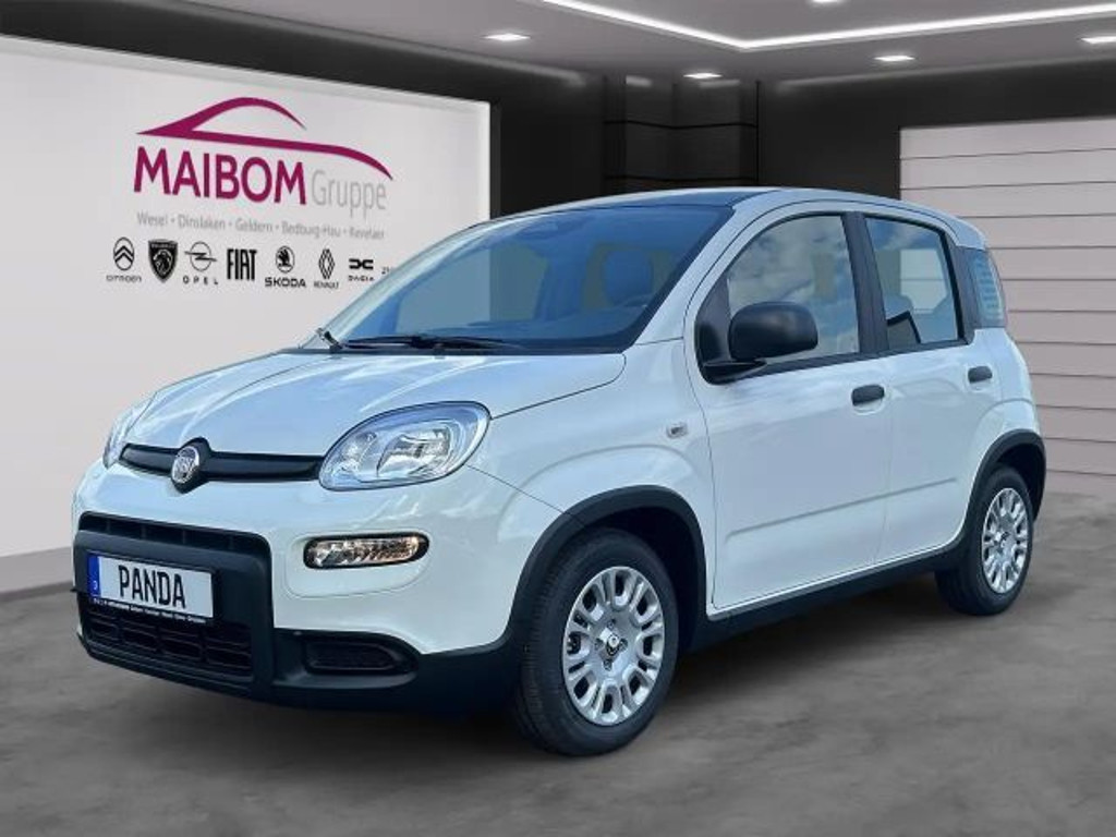 Fiat Panda 2024 Benzine