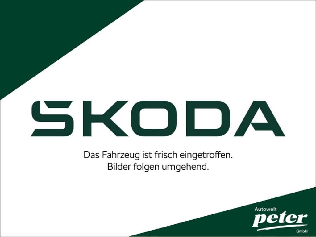 Skoda Kodiaq 2024 Benzine
