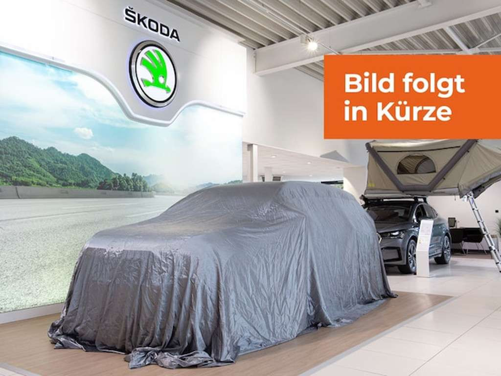 Skoda Karoq 2025 Benzine