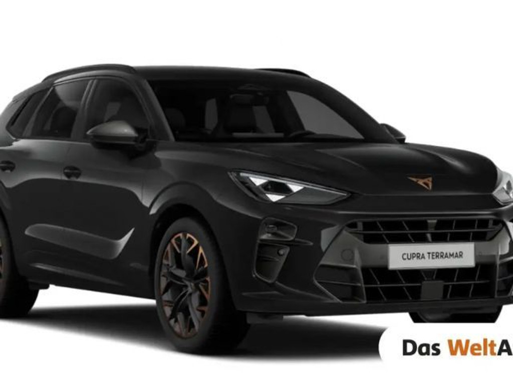 Cupra Terramar 2025 Benzine