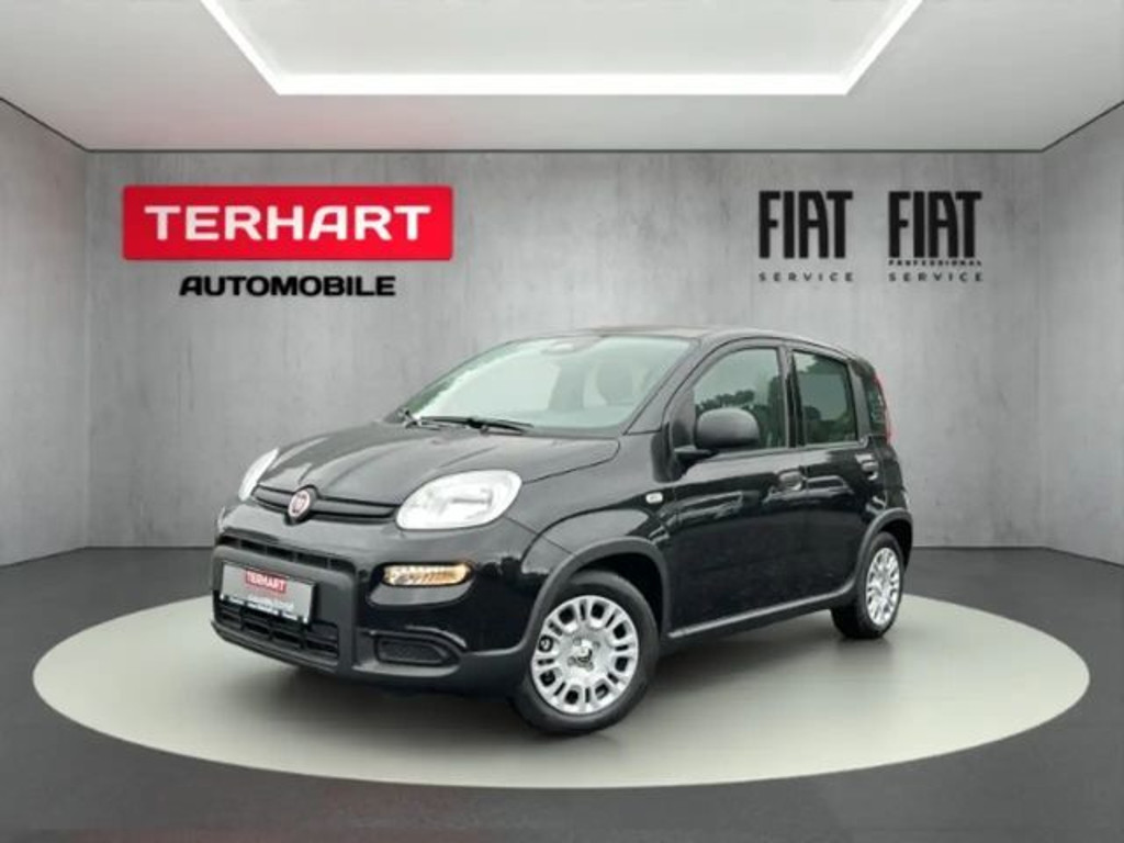 Fiat Panda 2024 Benzine