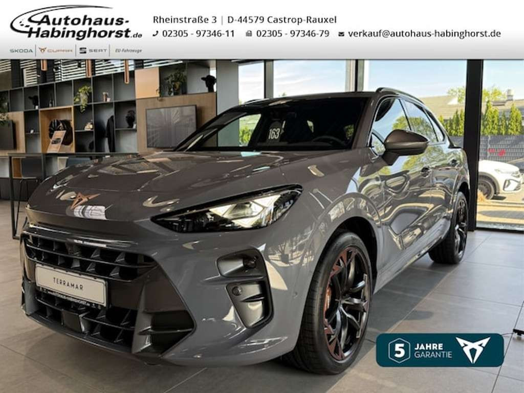 Cupra Terramar 2025 Benzine