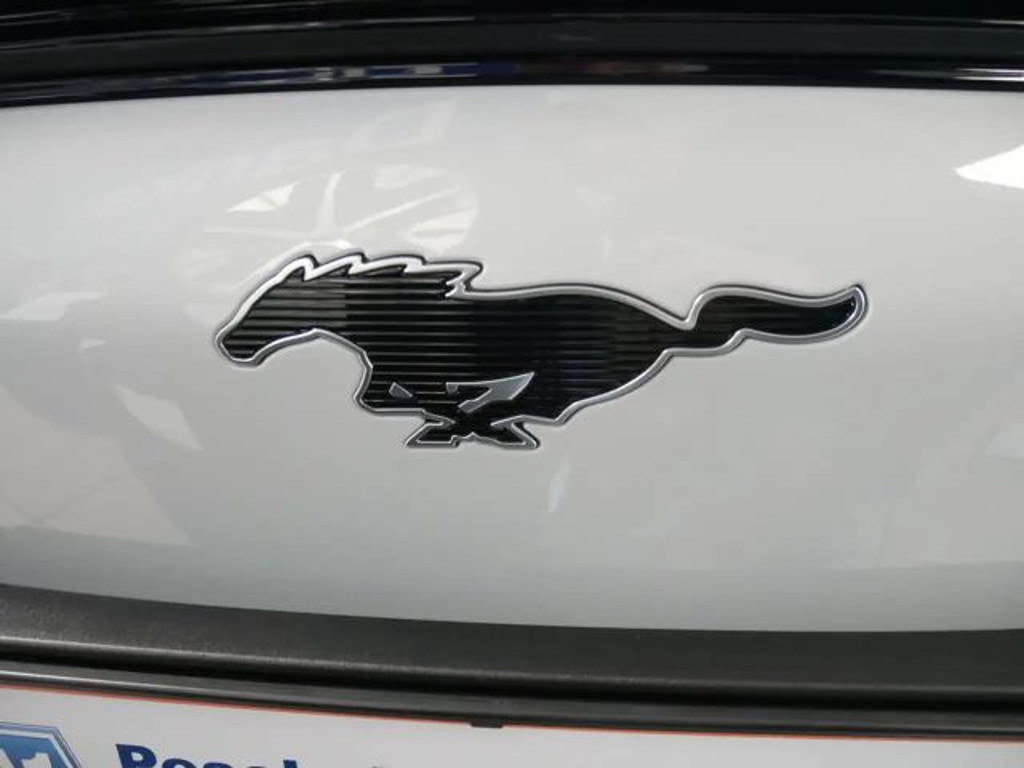 Ford Mustang Mach-E