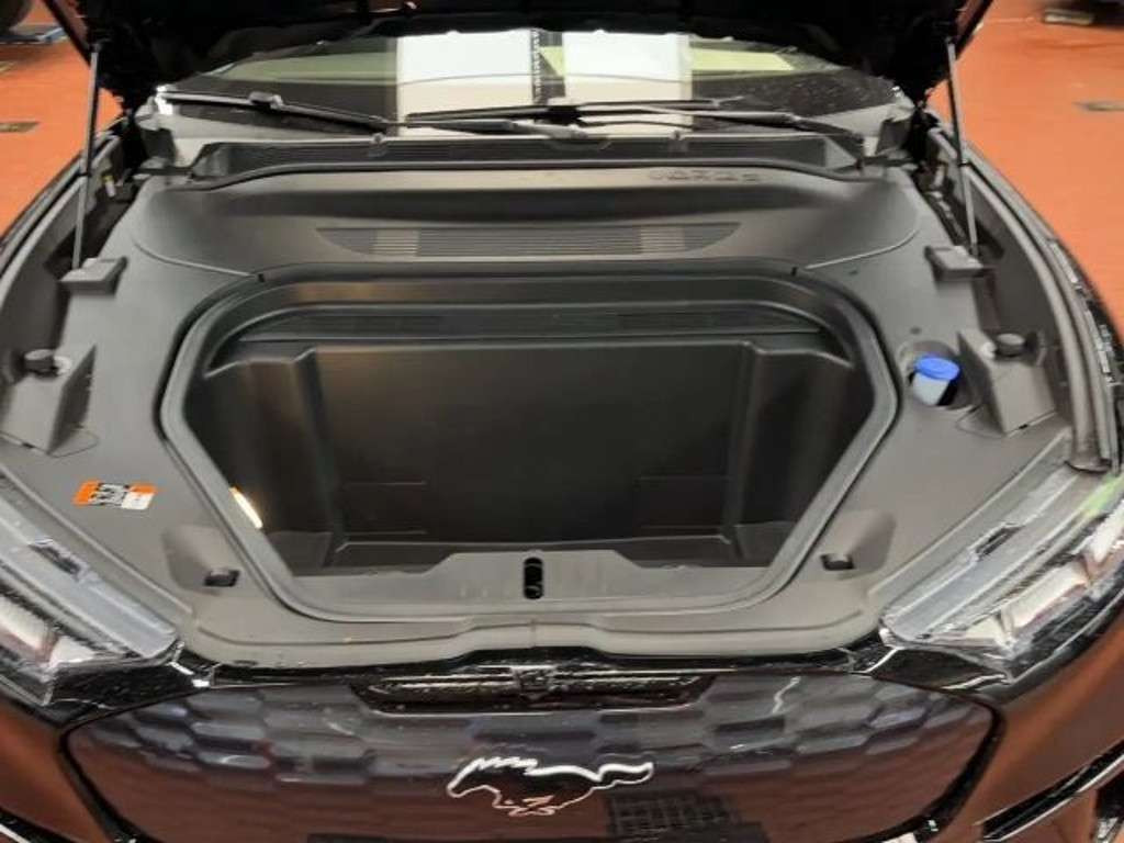 Ford Mustang Mach-E
