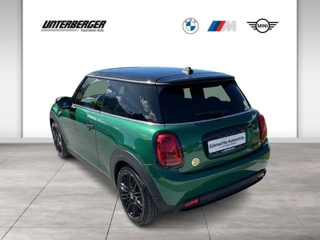 Mini Mini Electric