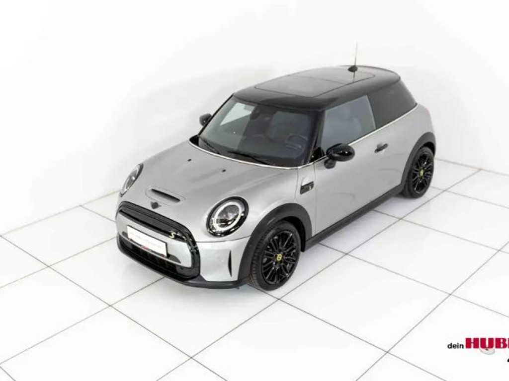 Mini Mini Electric