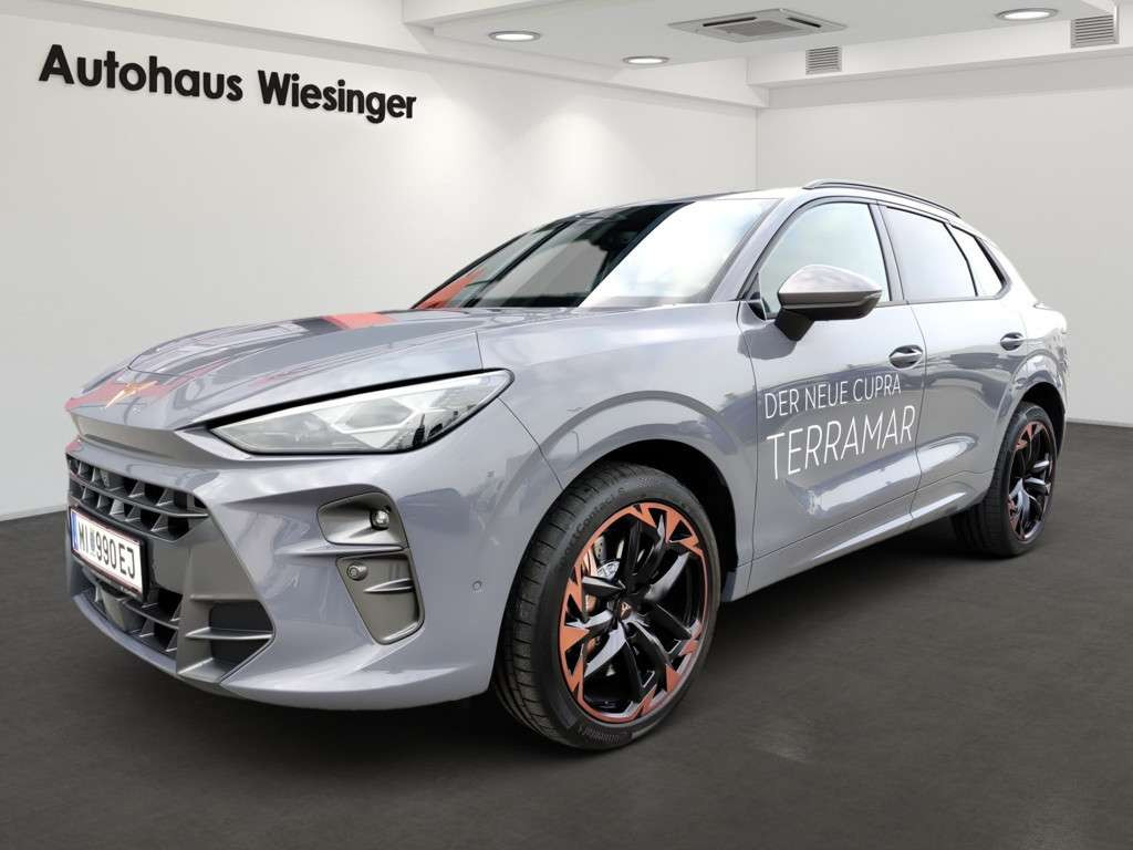 Cupra Terramar 2024 Benzine