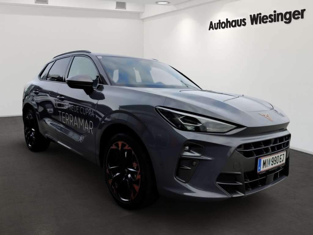 Cupra Terramar