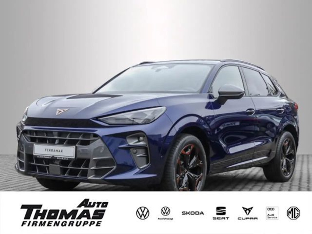 Cupra Terramar 2025 Benzine