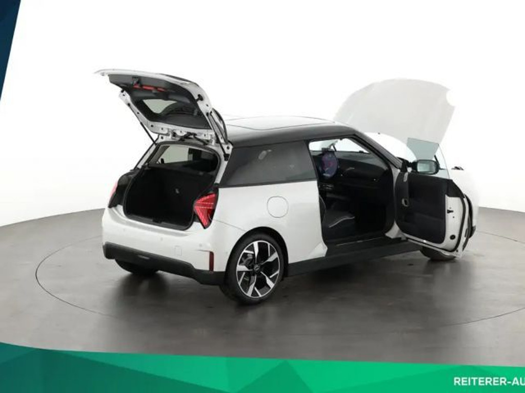 Mini Mini Electric