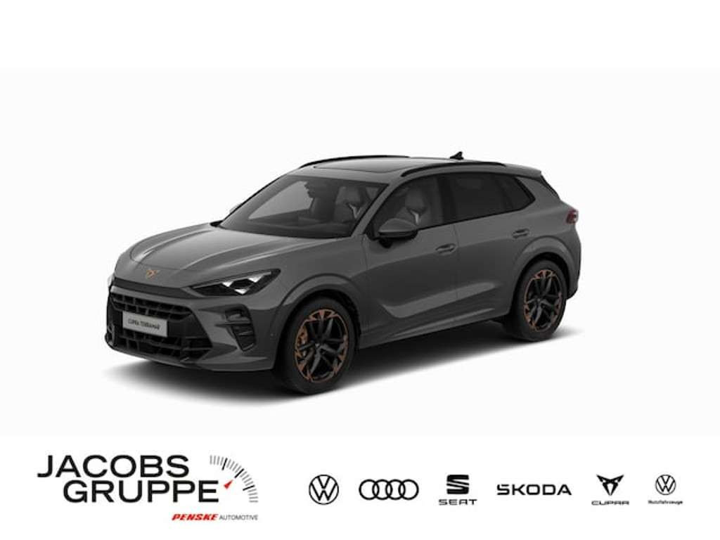 Cupra Terramar 2025 Benzine