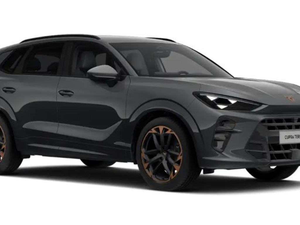Cupra Terramar 2025 Benzine