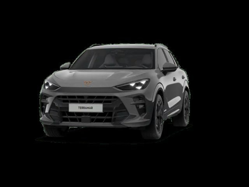 Cupra Terramar 2024 Benzine