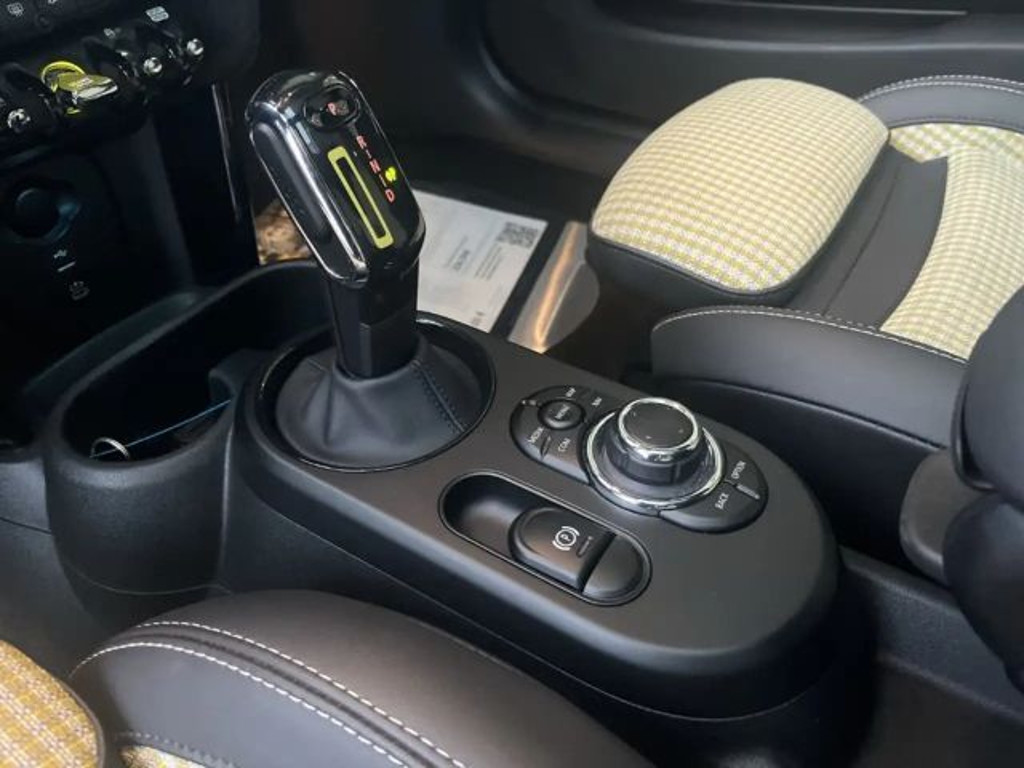 Mini Mini Electric