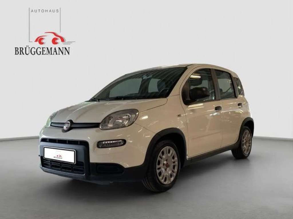 Fiat Panda 2023 Benzine