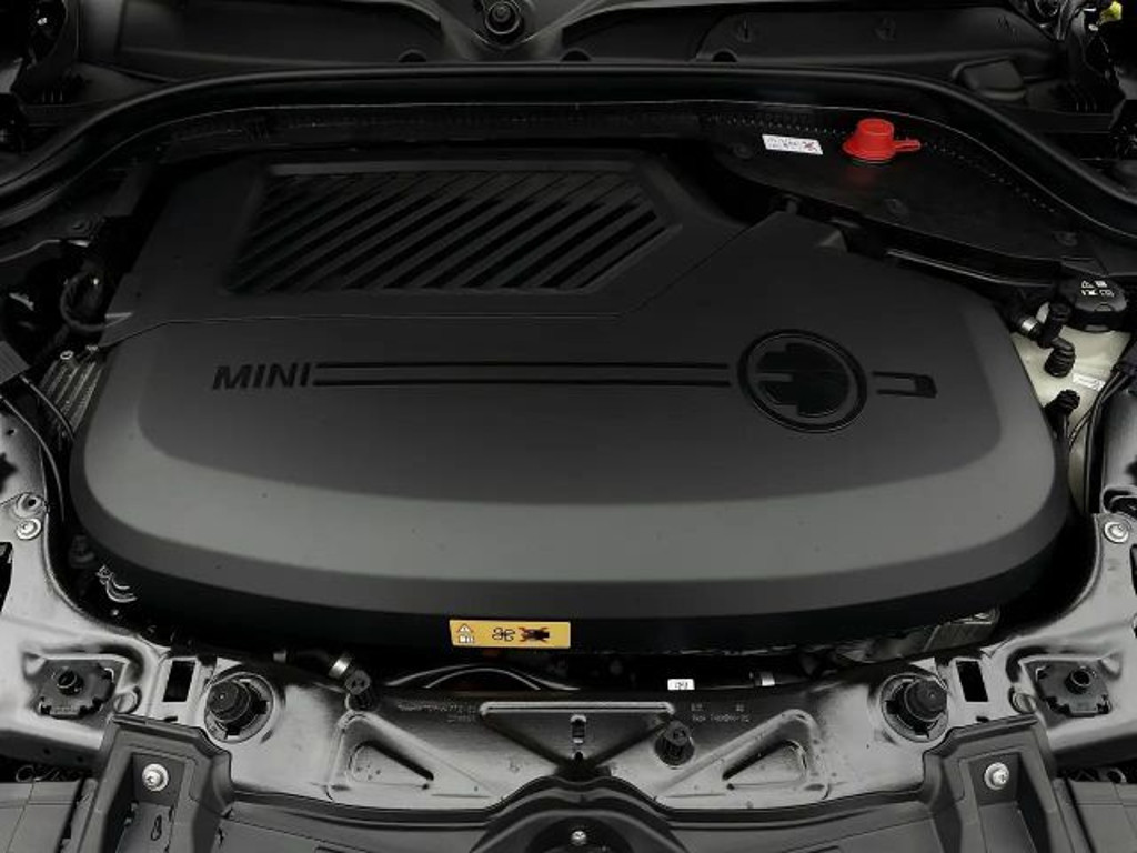 Mini Mini Electric