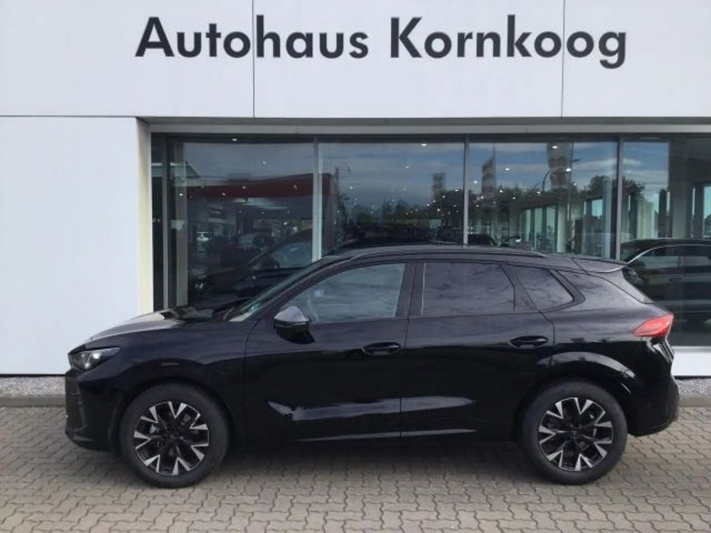 Cupra Terramar 2025 Benzine