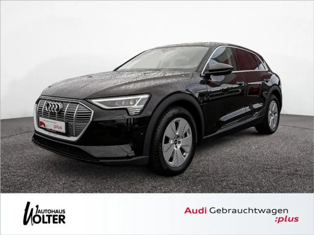 Audi e-tron 2022 Elektrisch