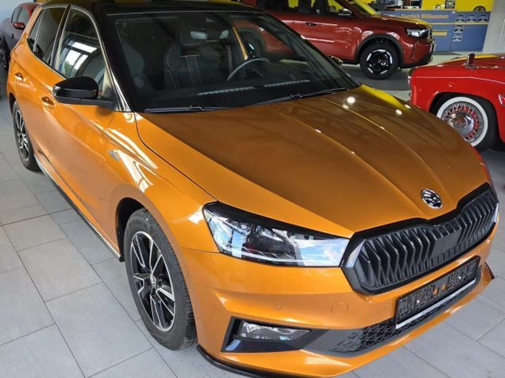 Skoda Fabia 2024 Benzine