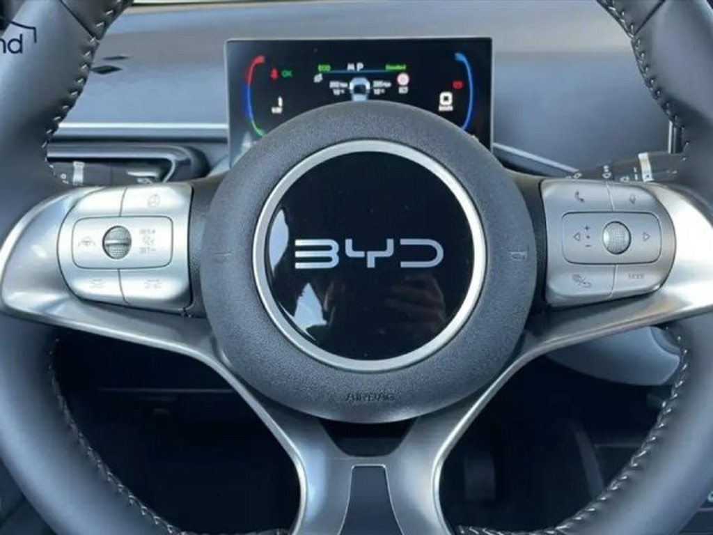 BYD Dolphin Surf