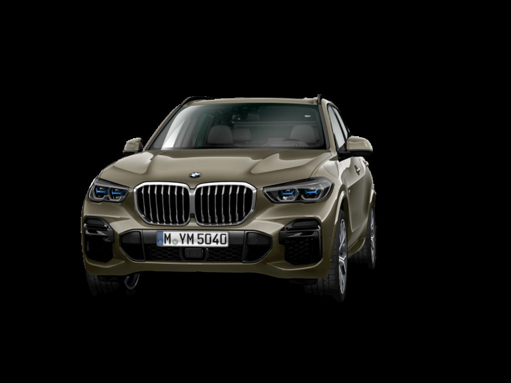 BMW X5 2021 Benzine