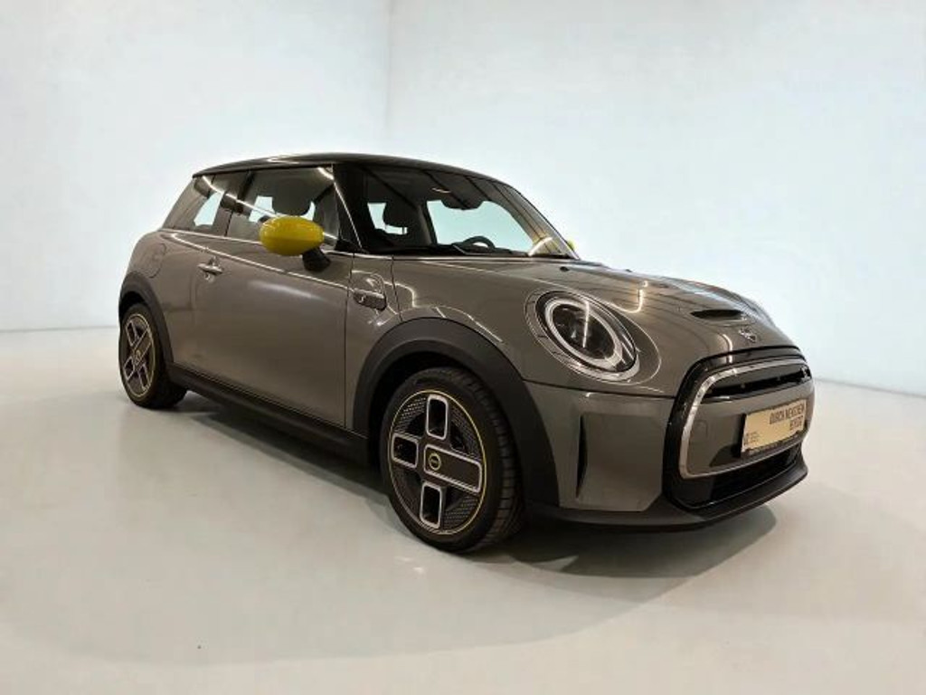 Mini Mini Electric