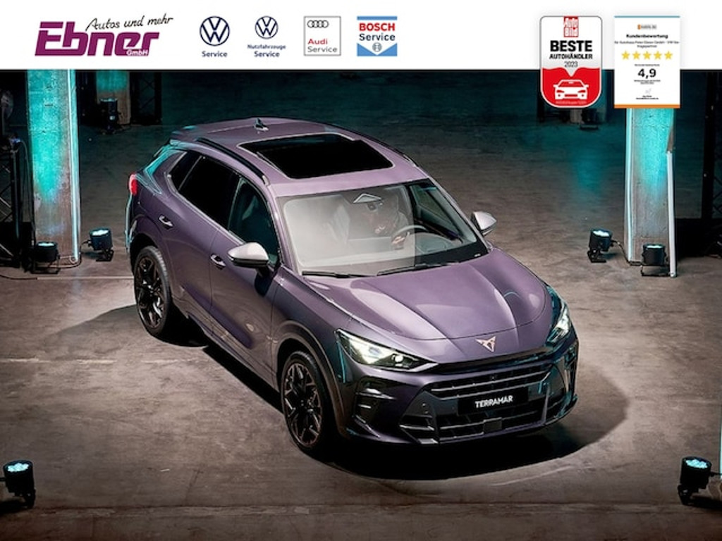 Cupra Terramar 2025 Benzine