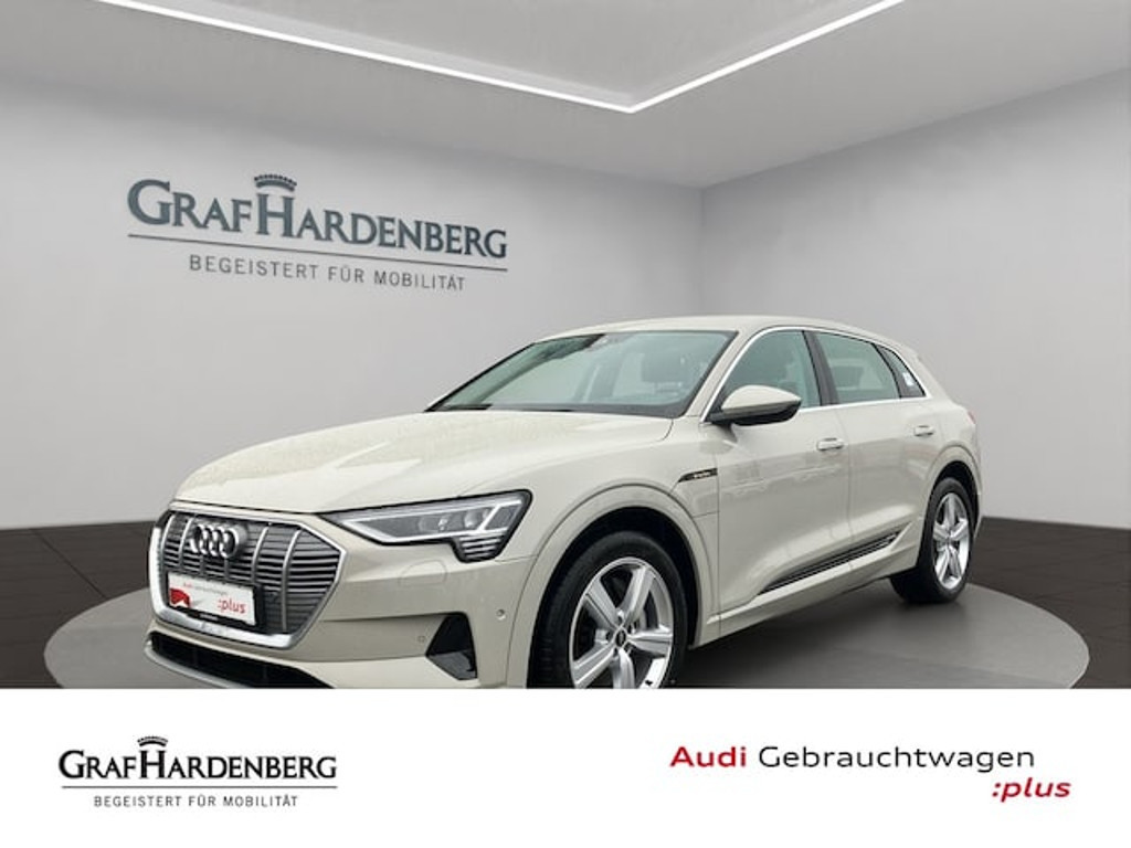 Audi e-tron 2021 Elektrisch