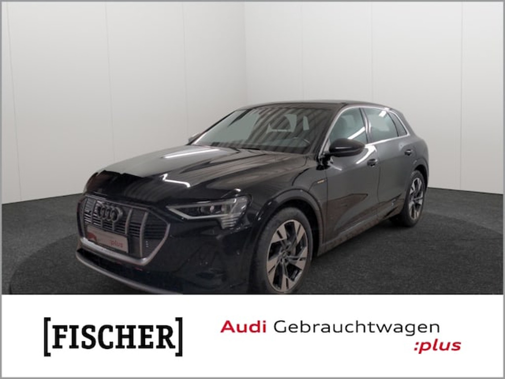 Audi e-tron 2022 Elektrisch