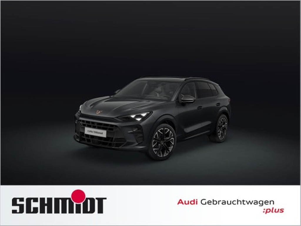 Cupra Terramar 2025 Benzine