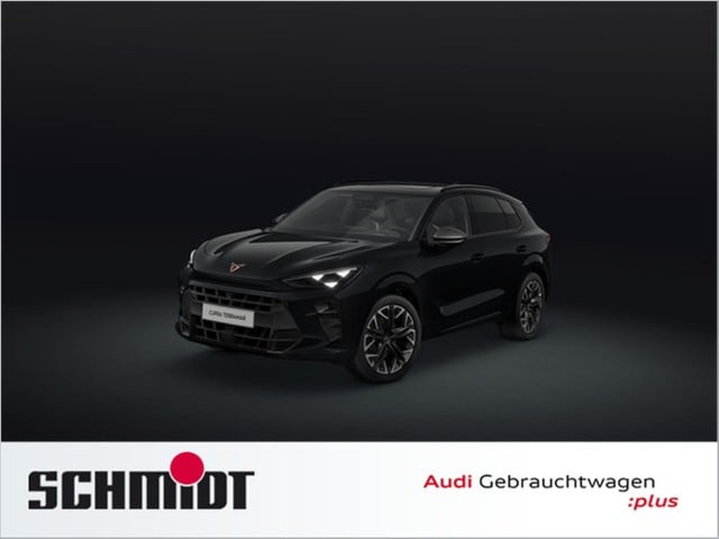Cupra Terramar 2025 Benzine