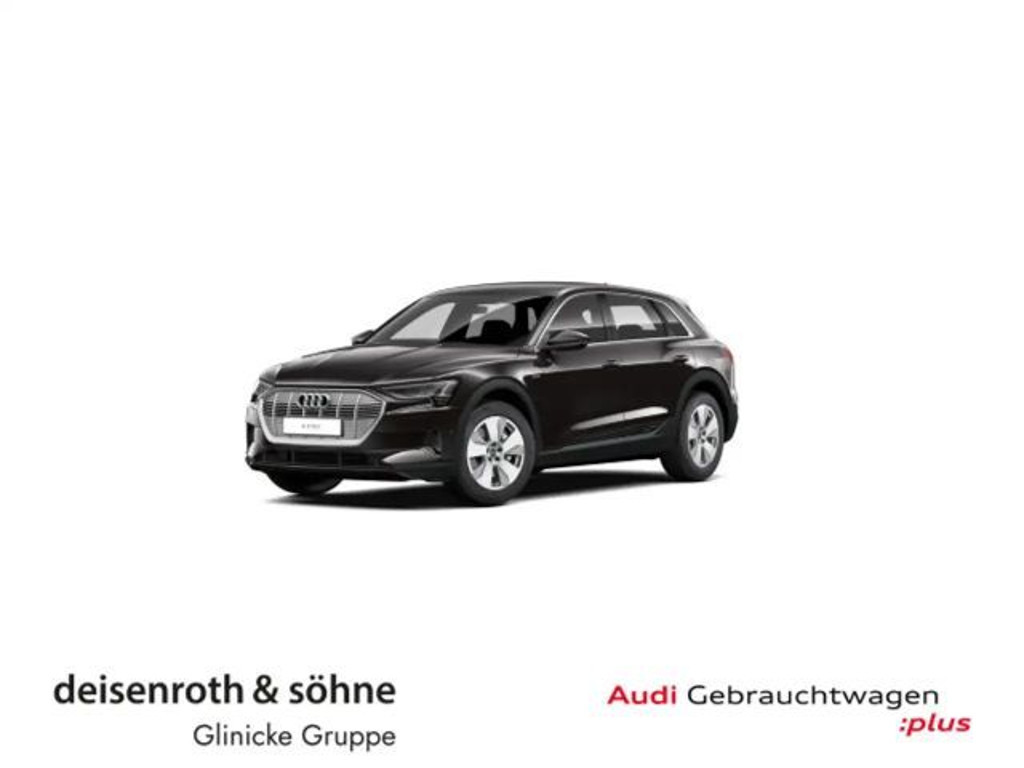 Audi e-tron 2022 Elektrisch