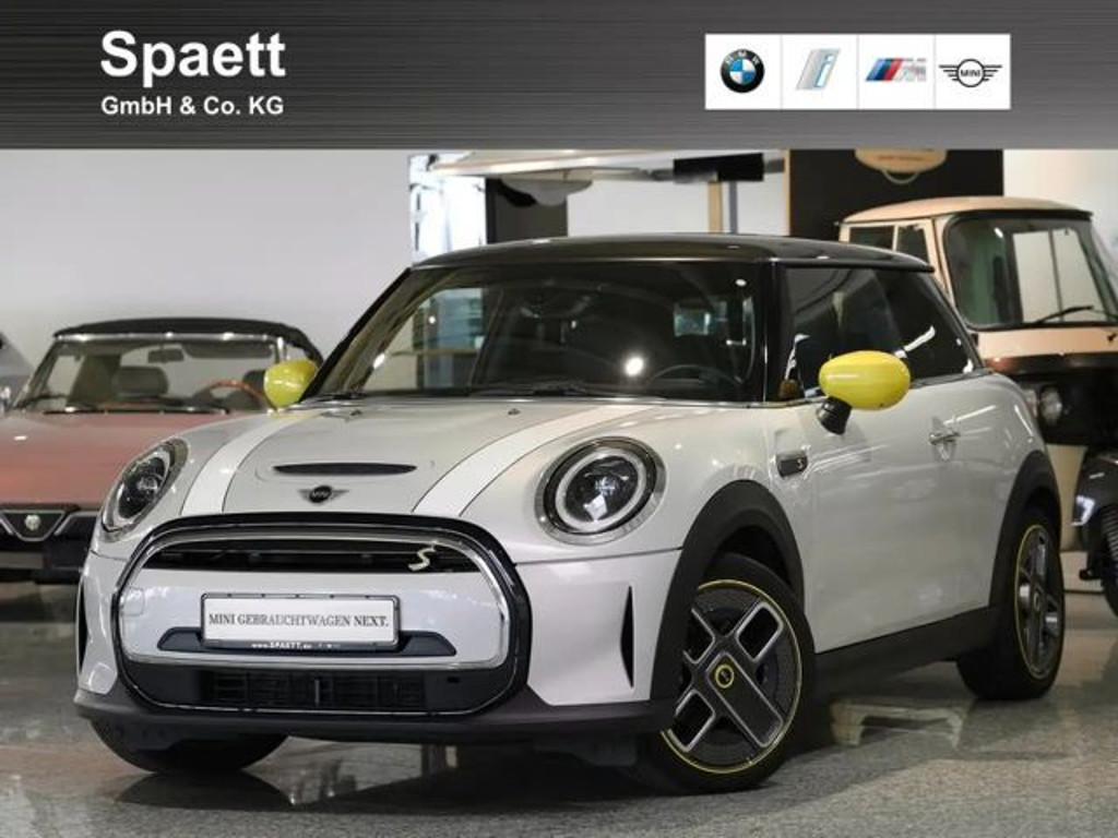 Mini Mini Electric