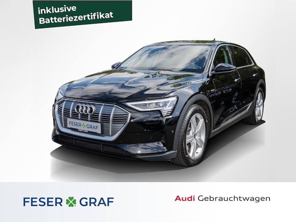 Audi e-tron 2022 Elektrisch