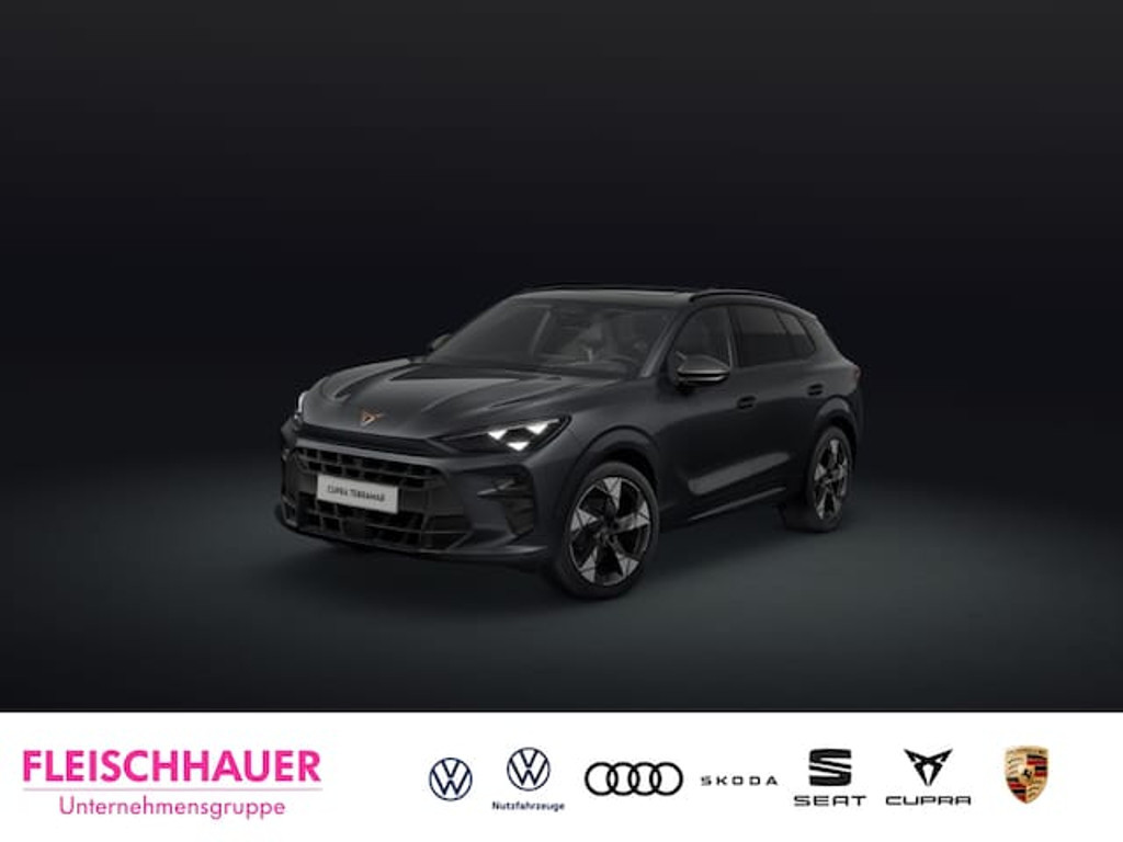 Cupra Terramar 2025 Benzine